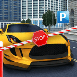 wns威尼斯人中文版下载安装-wns威尼斯人游戏最新版(ParkingProfessor)下载 v1.2 安卓版